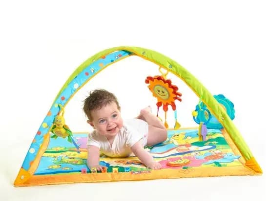 Коврик Tiny Love Gymini Sunny Day