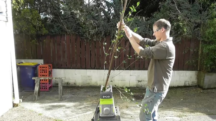 Измельчитель Ryobi RSH4245T
